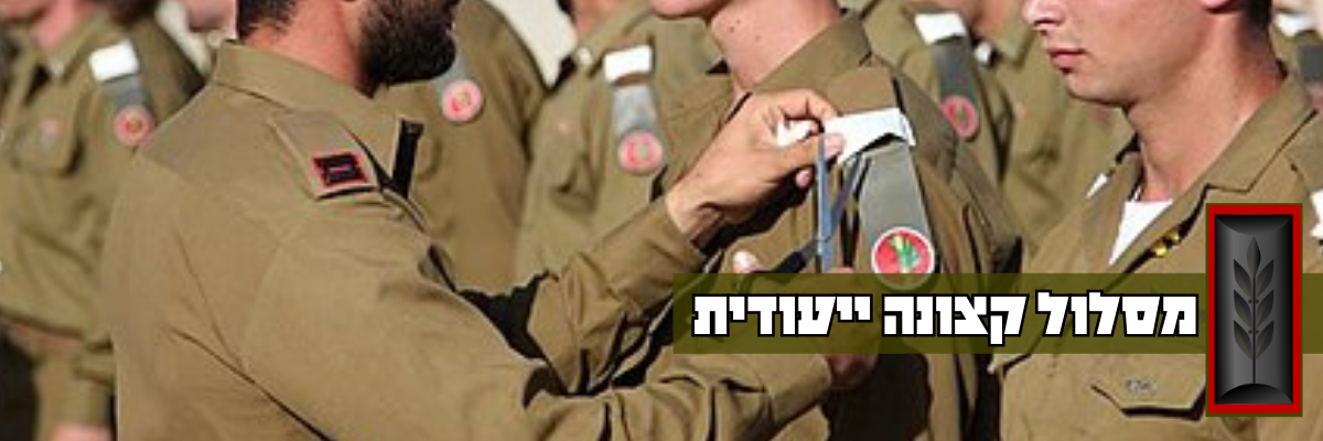 מסלול קצונה ייעודית
